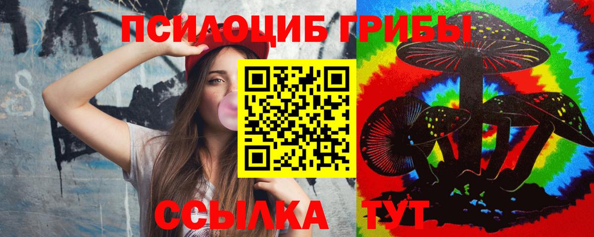Камень-на-Оби  Псилоцибиновые грибы Psilocybine cubensis  Псилоцибиновые грибы GOLDEN TEACHER  Вход с VPN 